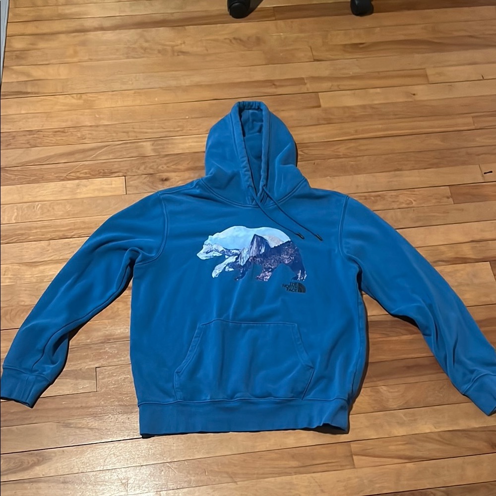 Blue North Face Hoodie with Bear Graphic